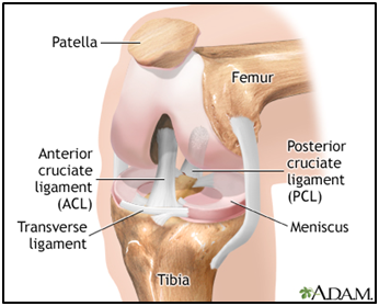 What Are Some Common Knee Injuries from Automobile Accidents?, Car  Accidents
